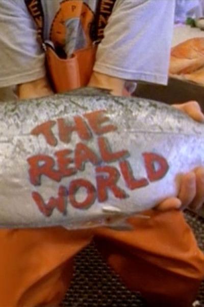 The Real World filmas online