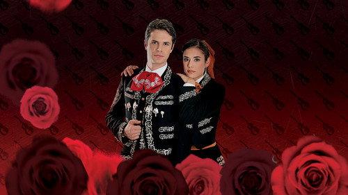 La hija del Mariachi filmas žiurėti online