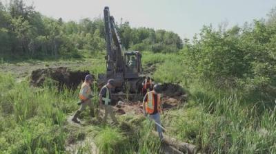 The Curse of Oak Island