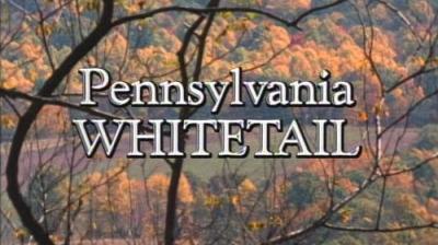 Marty Stouffer's Wild America