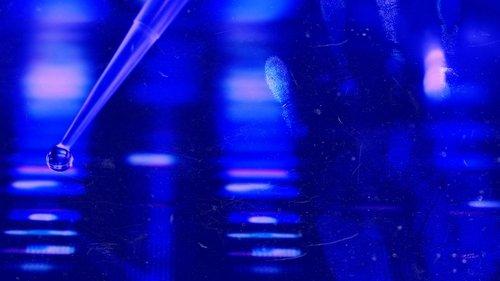 Forensic Files II filmas žiurėti online