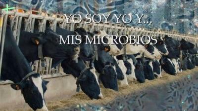 Planeta Microbio