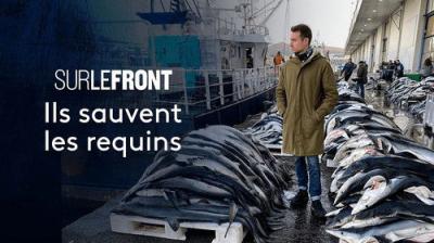 Sur le front