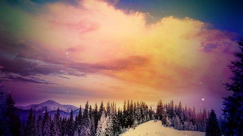 The Great Christmas Light Fight filmas žiurėti online