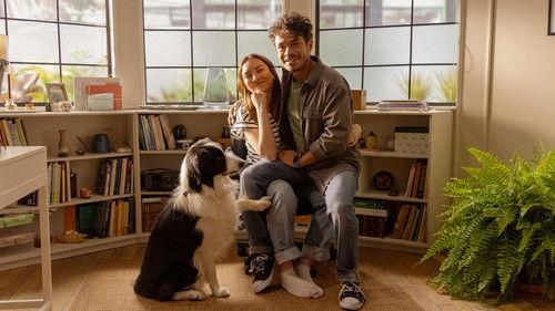 Enloqueciendo contigo filmas žiurėti online
