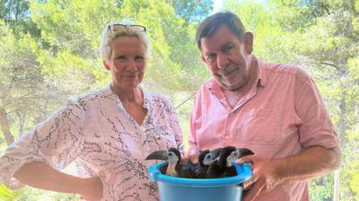 Bargain-Loving Brits in the Sun