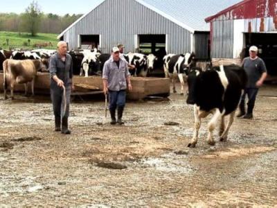 The Incredible Dr. Pol