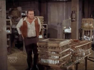 Bonanza