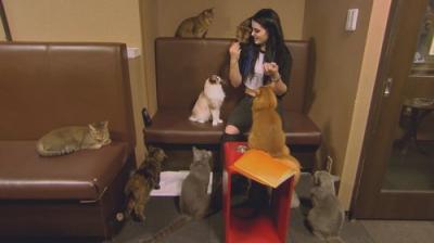 Total Divas