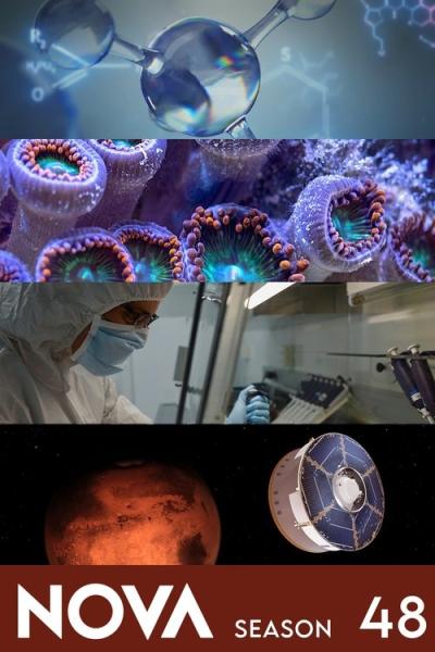 NOVA filmas online