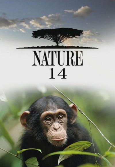 Nature filmas online