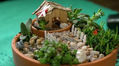 Gardening Australia
