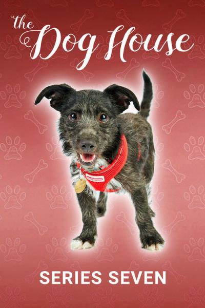 The Dog House filmas online