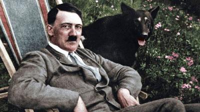 Hitler: The Rise and Fall