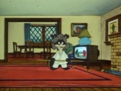 The Raccoons