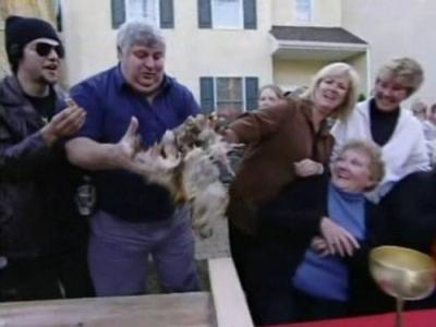 Viva La Bam