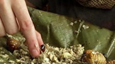 Wild Things with Dominic Monaghan