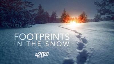 20/20