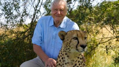 David Attenborough's Natural Curiosities