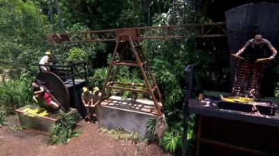 I'm a Celebrity...Get Me Out of Here!