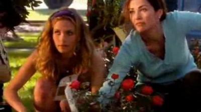 Army Wives