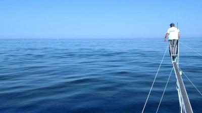 Wicked Tuna