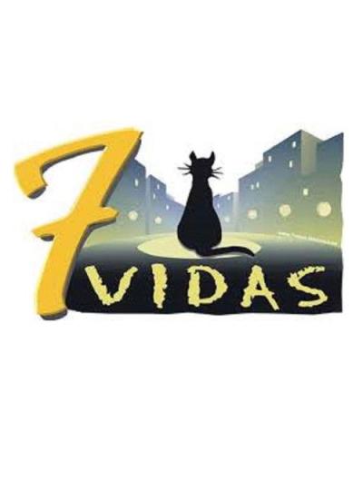 7 vidas filmas online