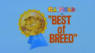 Garfield and Friends