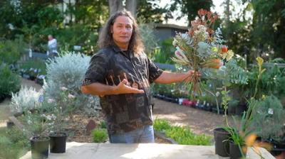 Gardening Australia