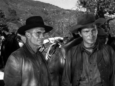 Rawhide