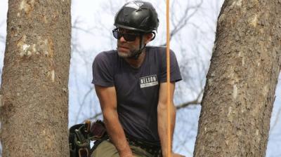 Treehouse Masters