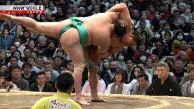 GRAND SUMO Highlights