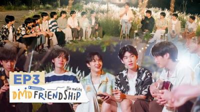 DMD Friendship The Reality