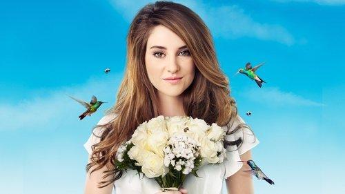 The Secret Life of the American Teenager filmas žiurėti online