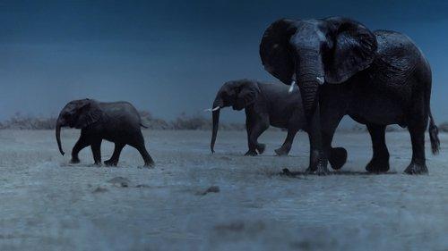 Night on Earth filmas žiurėti online