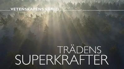 Vetenskapens värld