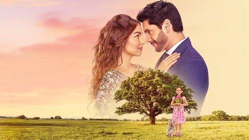 El amor no tiene receta filmas žiurėti online