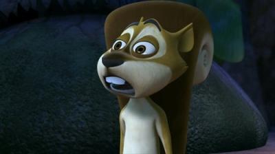 Madagaskaro pingvinai