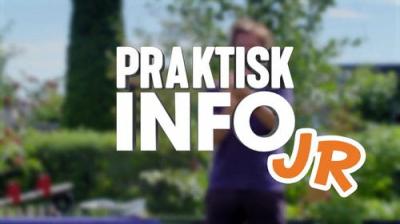 Praktisk info med Jon Almaas