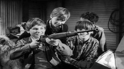 The Fugitive