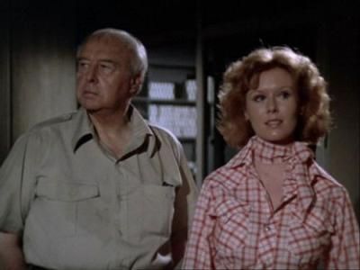 The Bionic Woman