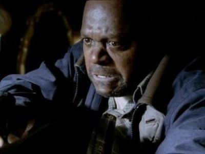 Without a Trace