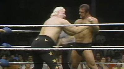 WWF All-Star Wrestling