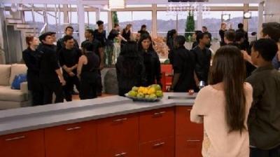 Lab Rats