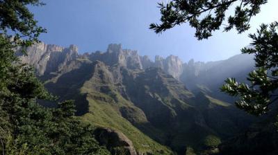 Natural World