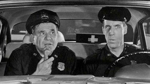Car 54, Where Are You? filmas žiurėti online