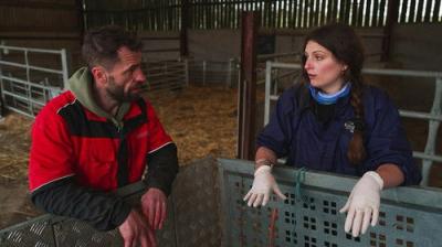 Fletchers' Family Farm