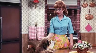 Petticoat Junction