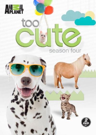 Too Cute filmas online