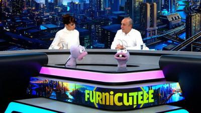 Furnicuțele